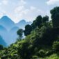 Best Places for Trekking Near Delhi (Easy & Moderate Treks)