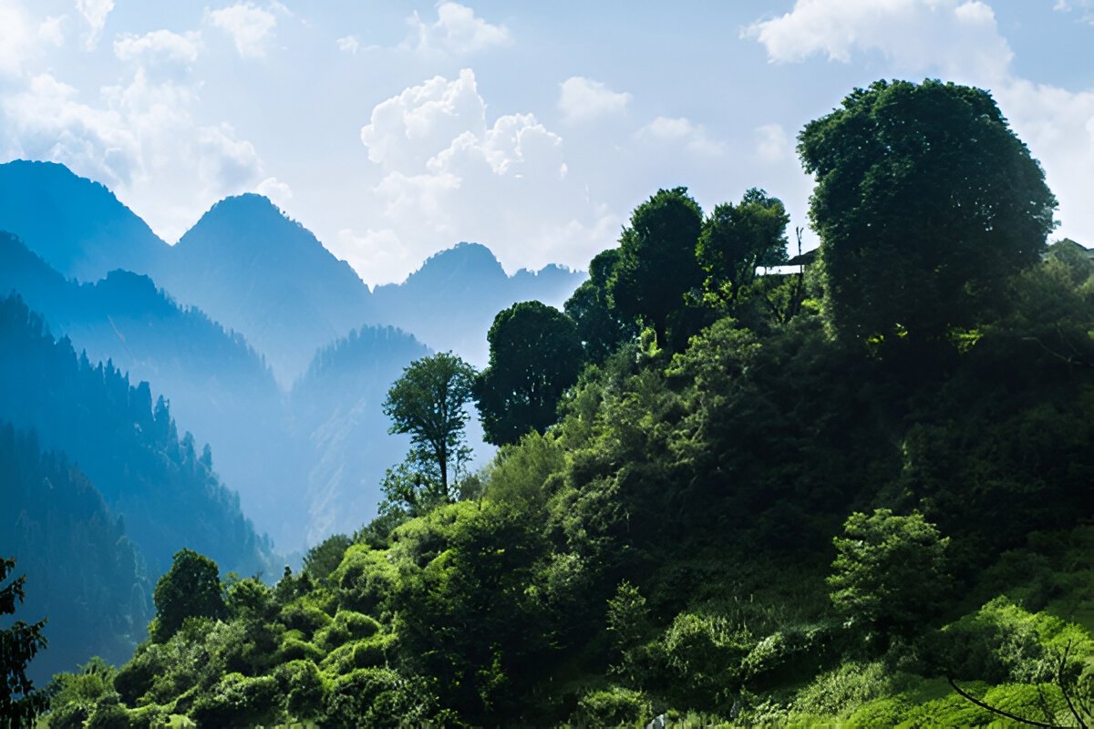 Best Places for Trekking Near Delhi (Easy & Moderate Treks)