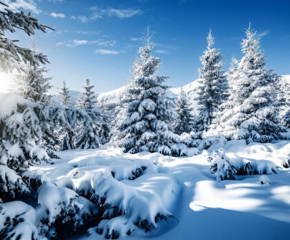 Winter Wonderland – Snow Destinations Near Delhi With Chalo Travel